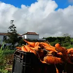 Ninho Do Cedro - Azorean Tranquility * Ponta Delgada