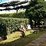 Ninho Do Cedro - Azorean Tranquility * Ponta Delgada