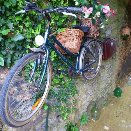 Ninho Do Cedro - Azorean Tranquility Pensión