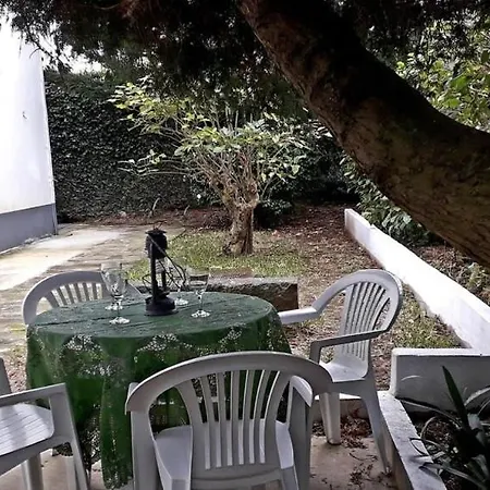 Ninho Do Cedro - Azorean Tranquility Apartment Ponta Delgada (Sao Miguel)