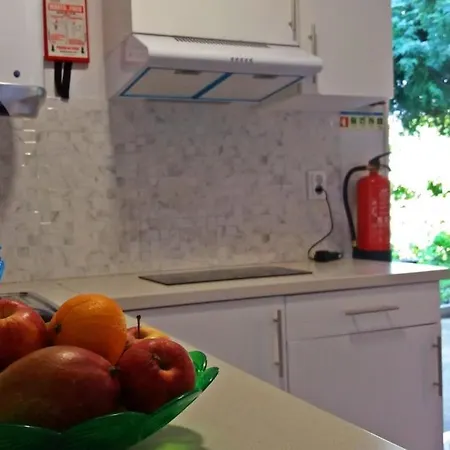 Gasthuis Ninho Do Cedro - Azorean Tranquility *