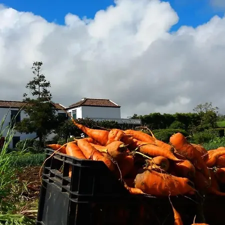 Ninho Do Cedro - Azorean Tranquility * Ponta Delgada (Sao Miguel)