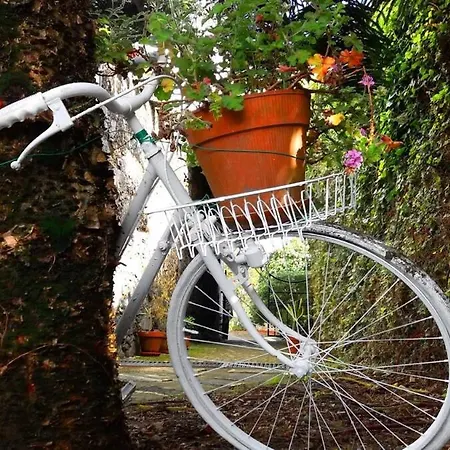 Ninho Do Cedro - Azorean Tranquility Casa de hóspedes