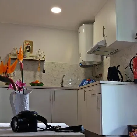 Ninho Do Cedro - Azorean Tranquility Apartment *