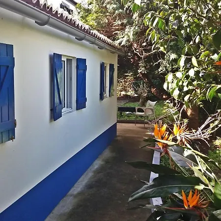 Ninho Do Cedro - Azorean Tranquility Ponta Delgada