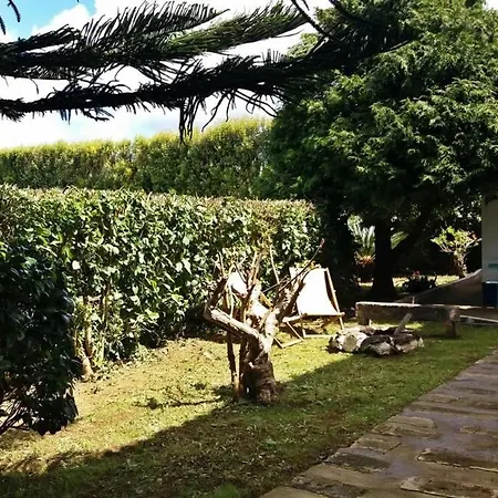 Ninho Do Cedro - Azorean Tranquility * Ponta Delgada (Sao Miguel)