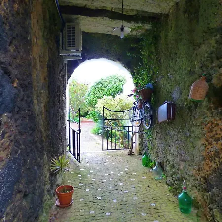 Ninho Do Cedro - Azorean Tranquility Gasthuis *