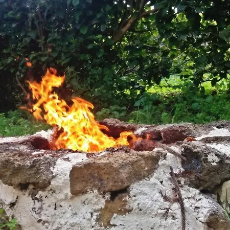 Casa de hóspedes Ninho Do Cedro - Azorean Tranquility