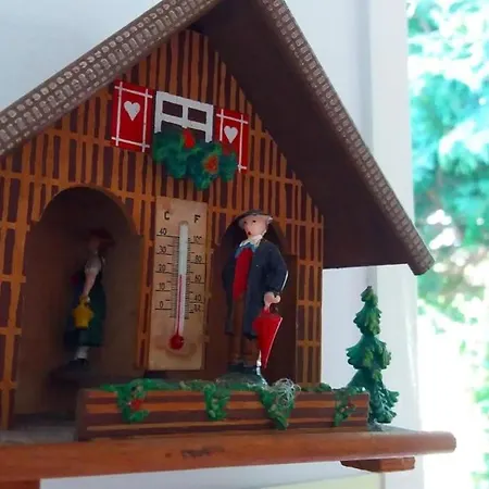 Ninho Do Cedro - Azorean Tranquility Gasthuis *