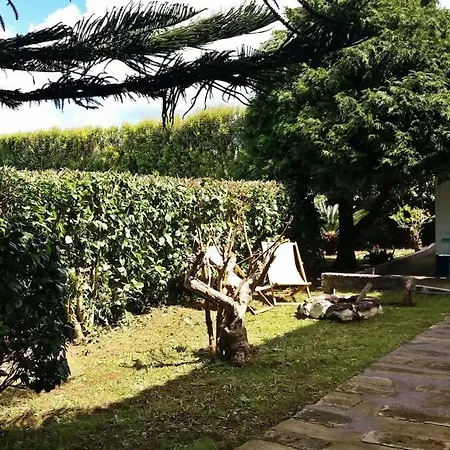 Ninho Do Cedro - Azorean Tranquility * Ponta Delgada (Sao Miguel)