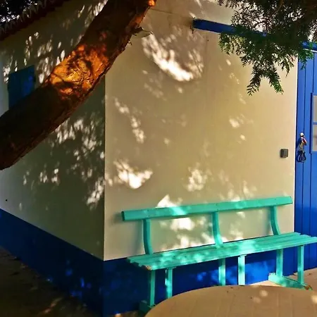 Ninho Do Cedro - Azorean Tranquility